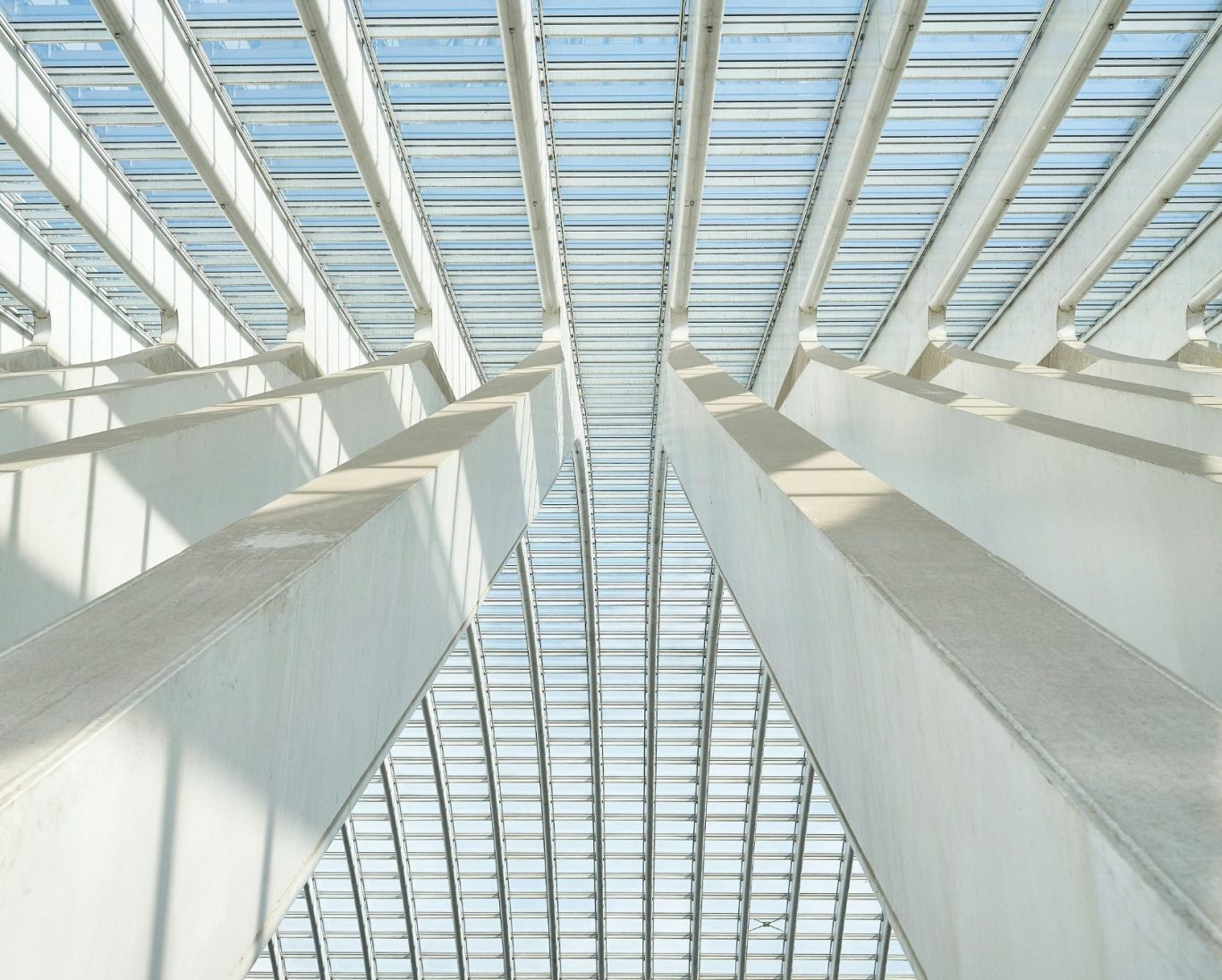 Vues basses de colonnes blanches et lumière filtrée à travers un plafond en verre.