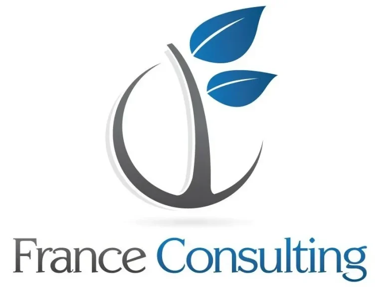 Logo de France Consulting avec une silhouette stylisée et une feuille verte.
